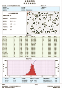 LIRI-2006顆粒圖像分析儀測(cè)試結(jié)果圖片